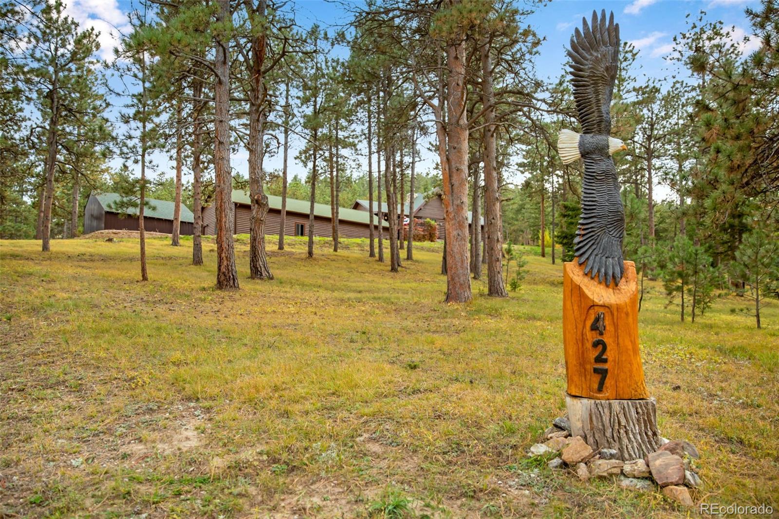427 Wilderness Ridge Way Bellvue, CO 80512 - Photo 3 of 50 a view of yard with tree