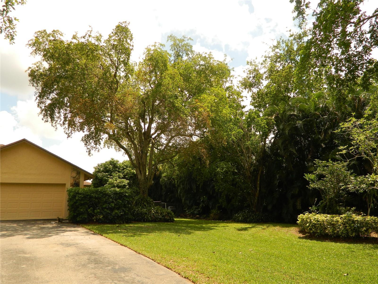 4800 Southwest 133rd Avenue Southwest Ranches, FL 33330 - Photo 3 of 36 Photo 3