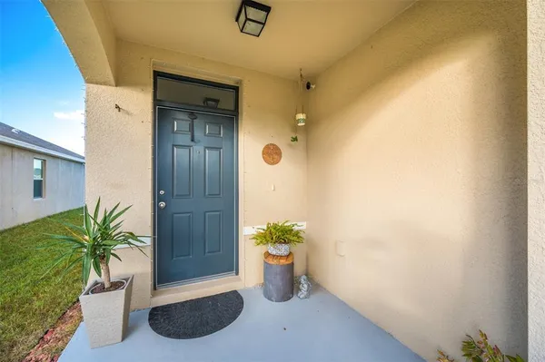 a potted plant sitting in front of a door