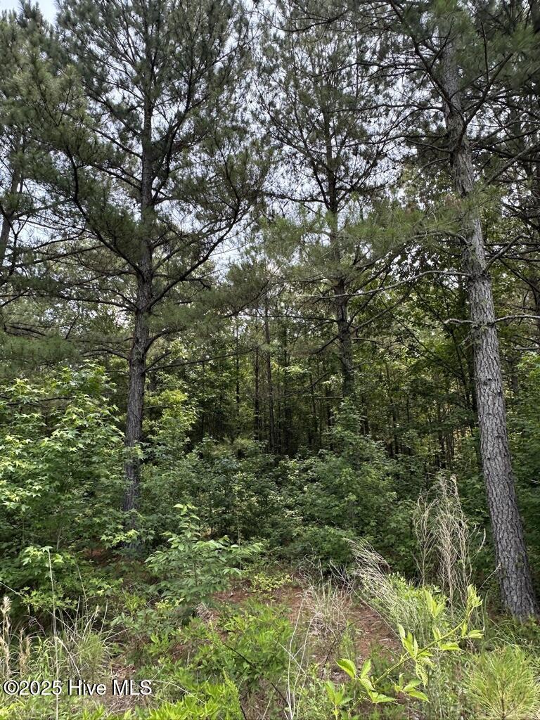 316 Batts Island Road Edenton, NC 27932 - Photo 3 of 4 E251F368-912B-41FC-9B16-599D7912D284_1_1