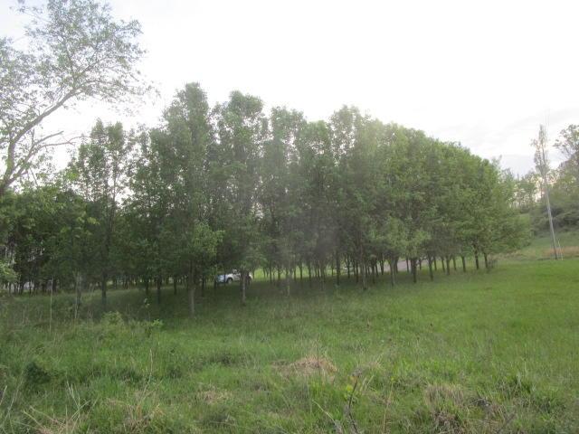 0 Dutch Hill Road Dresden, OH 43821 - Photo 5 of 26