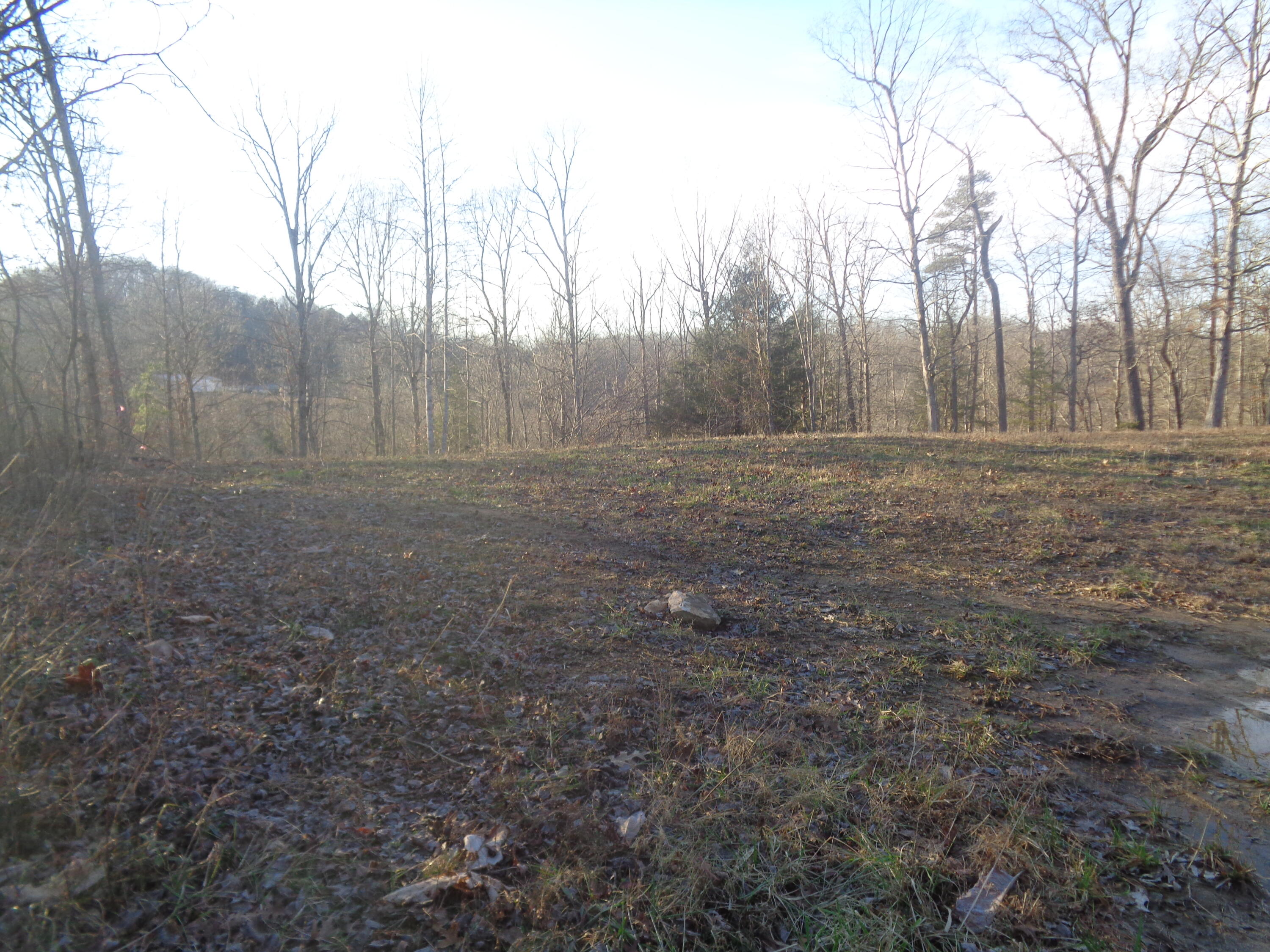 Lot 2 Fount Hubbard Road London, KY 40741 - Photo 13 of 31 DSC07481
