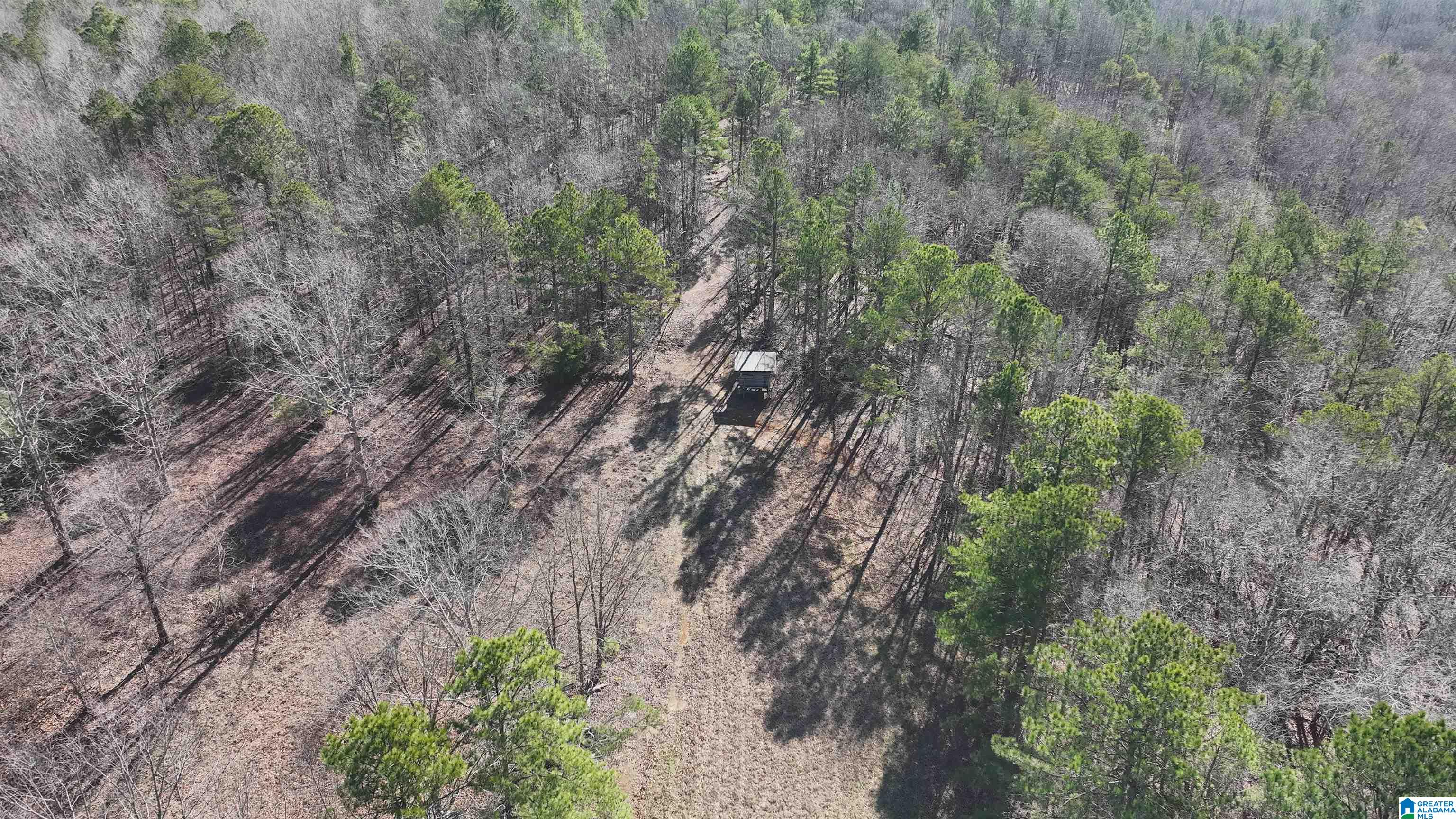 6171 Highway 102, Unit 1 Fayette, AL 35555 - Photo 34 of 68