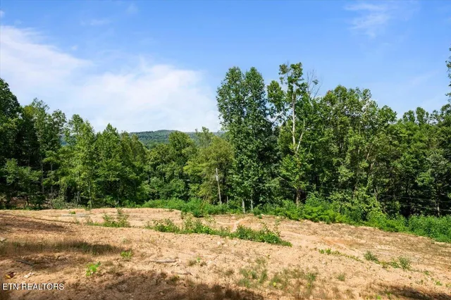 $55,000 | 353 Walden Ridge Lane, Caryville, TN 37714