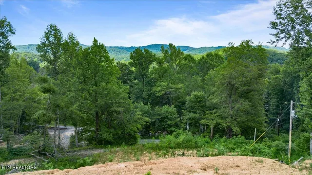 $45,000 | 353 Walden Ridge Lane, Caryville, TN 37714