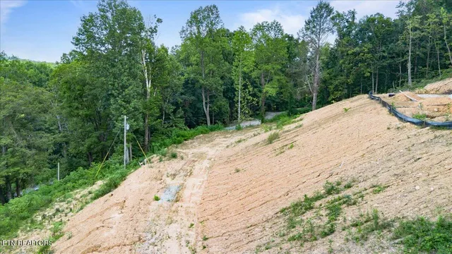 $45,000 | 353 Walden Ridge Lane, Caryville, TN 37714