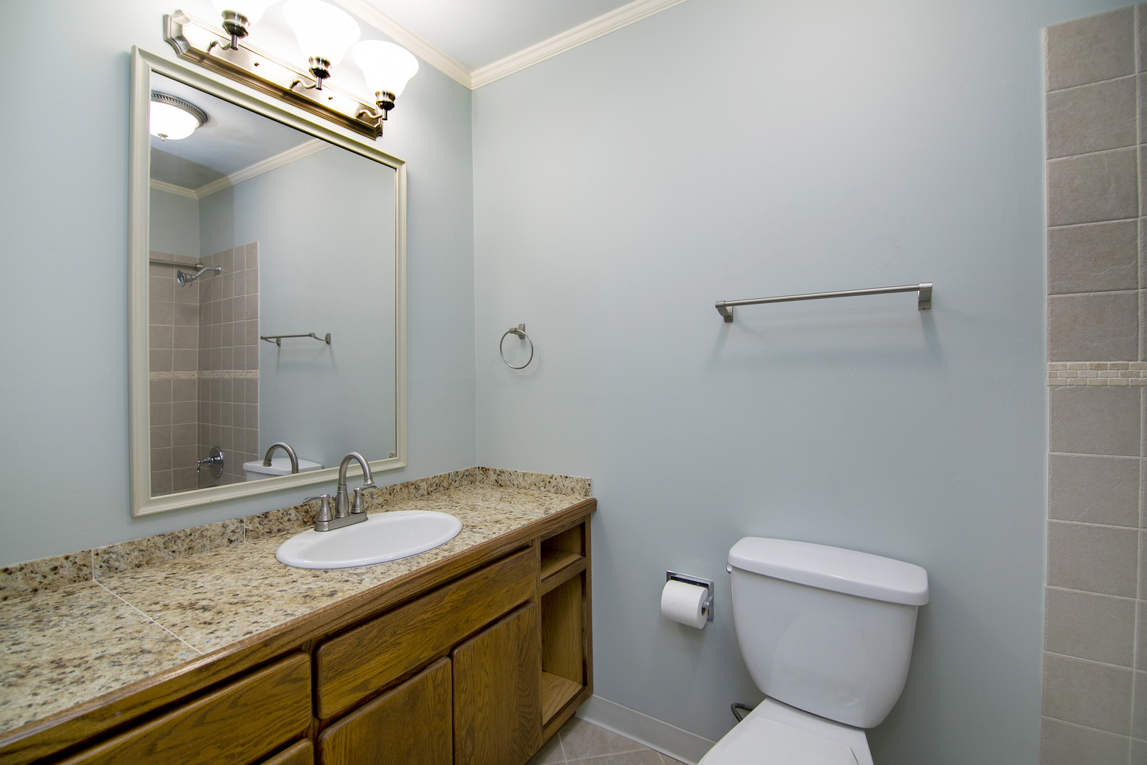 462 Raintree Drive, Unit 2A Glen Ellyn, IL 60137 - Photo 17 of 28 Gallery Image 17