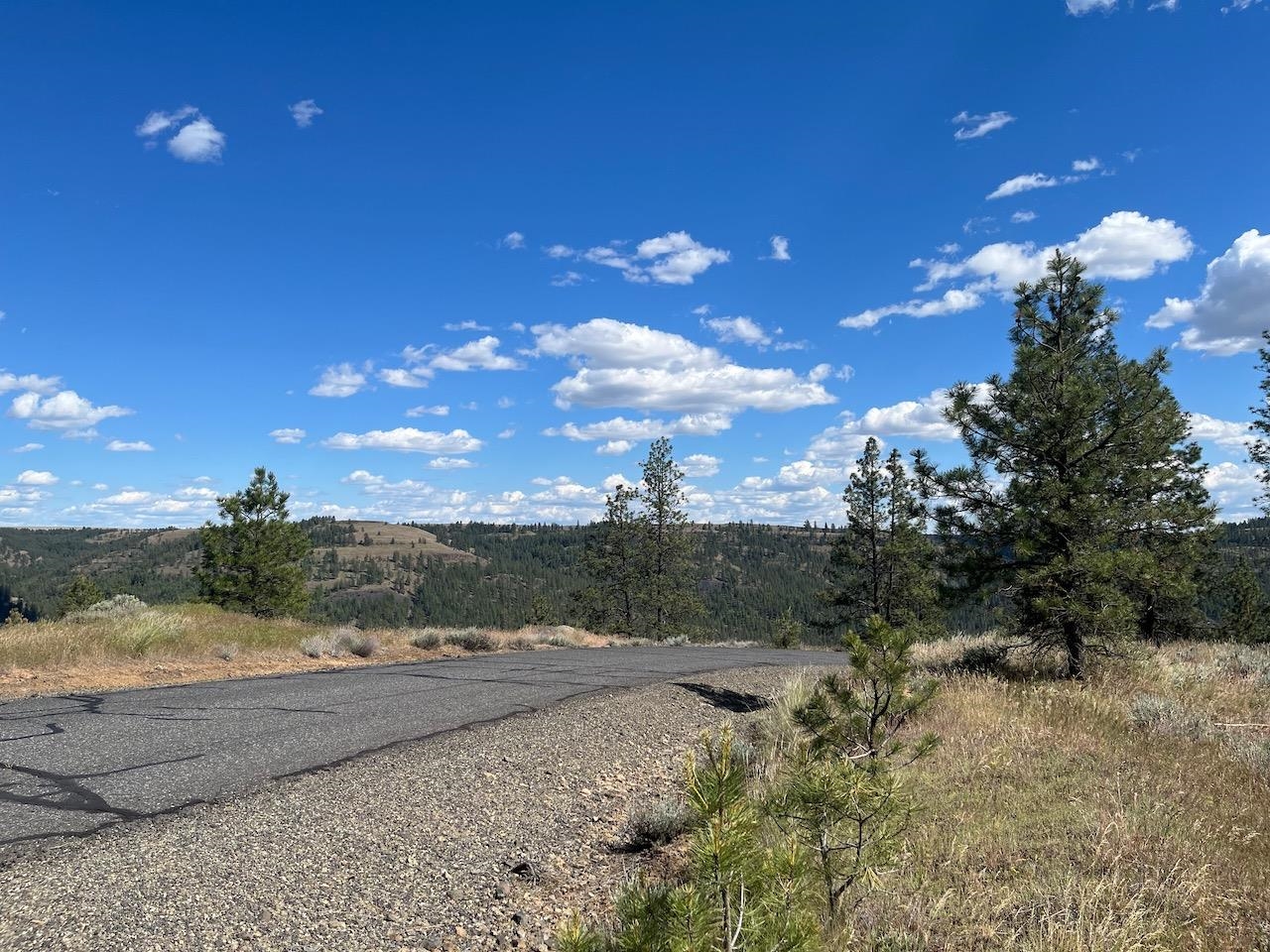 31805 Ruffed Grouse Drive Davenport, WA 99122 - Photo 9 of 23