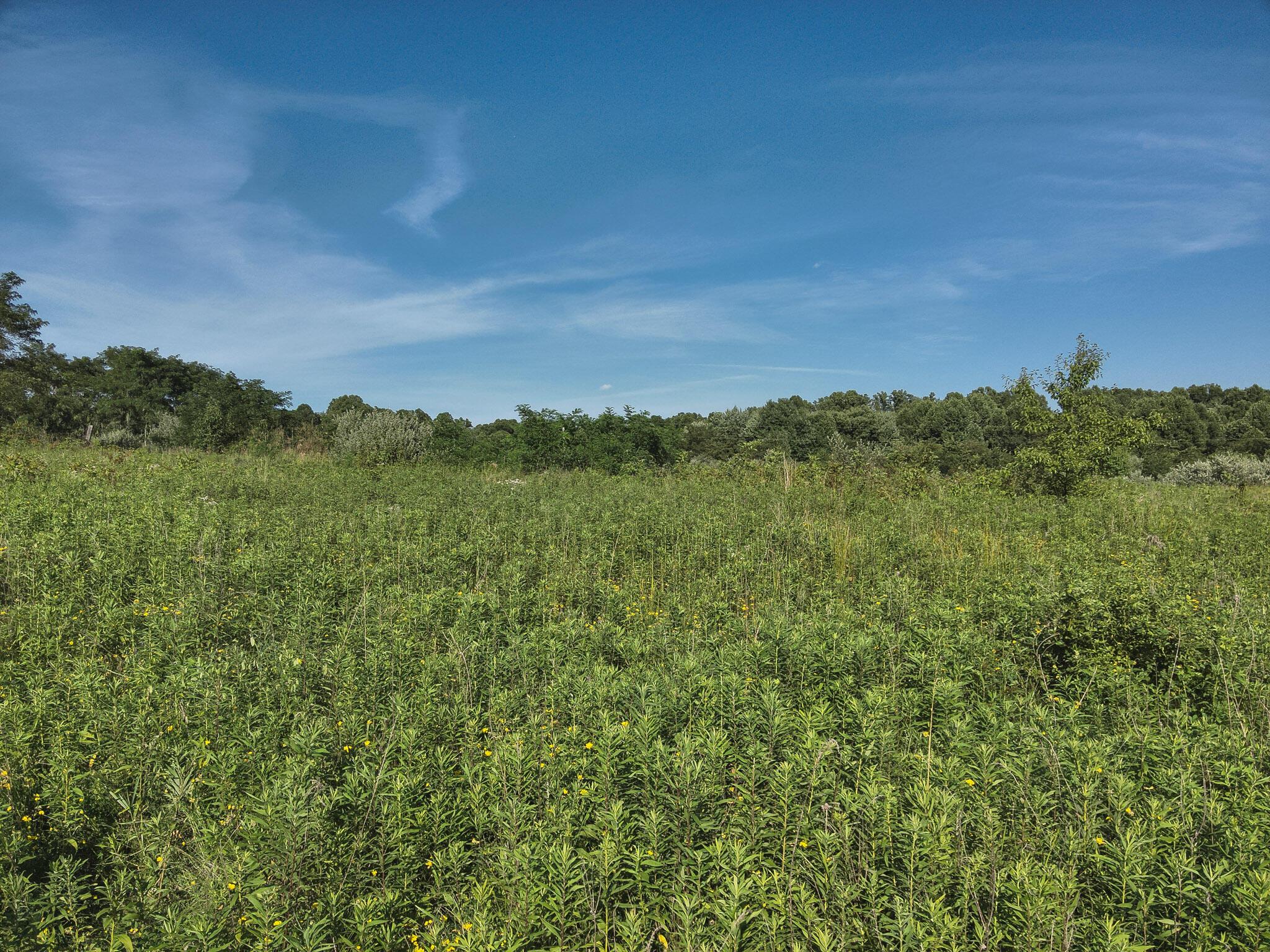 0 South Side Sand Ridge Road Albany, OH 45710 - Photo 23 of 90 25. Field