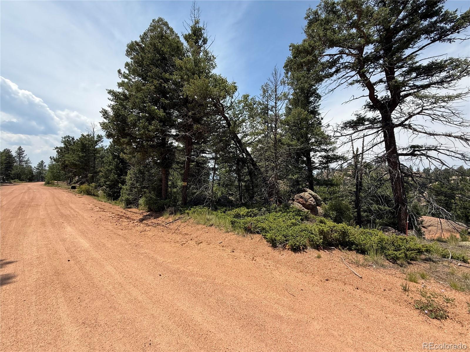 3546 North Mountain Estates Road Florissant, CO 80816 - Photo 1 of 17 a view of a yard covered in snow