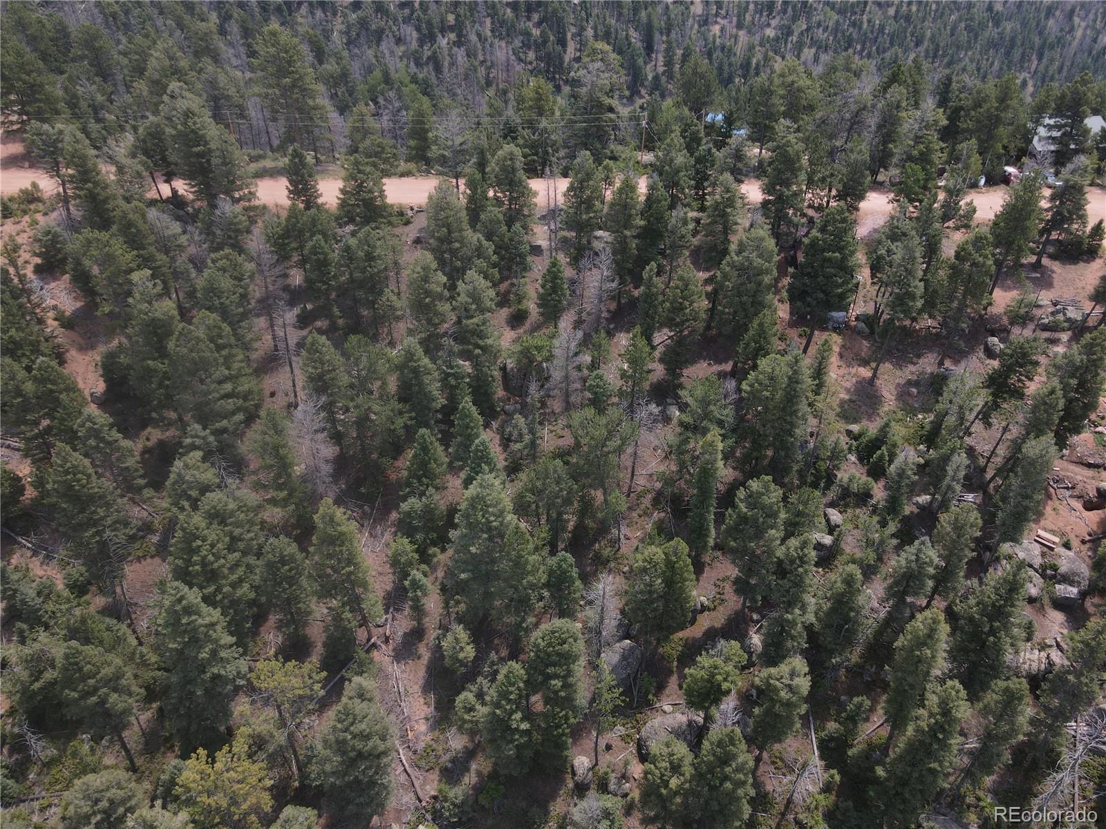 3546 North Mountain Estates Road Florissant, CO 80816 - Photo 11 of 17 a view of a city with lush green forest