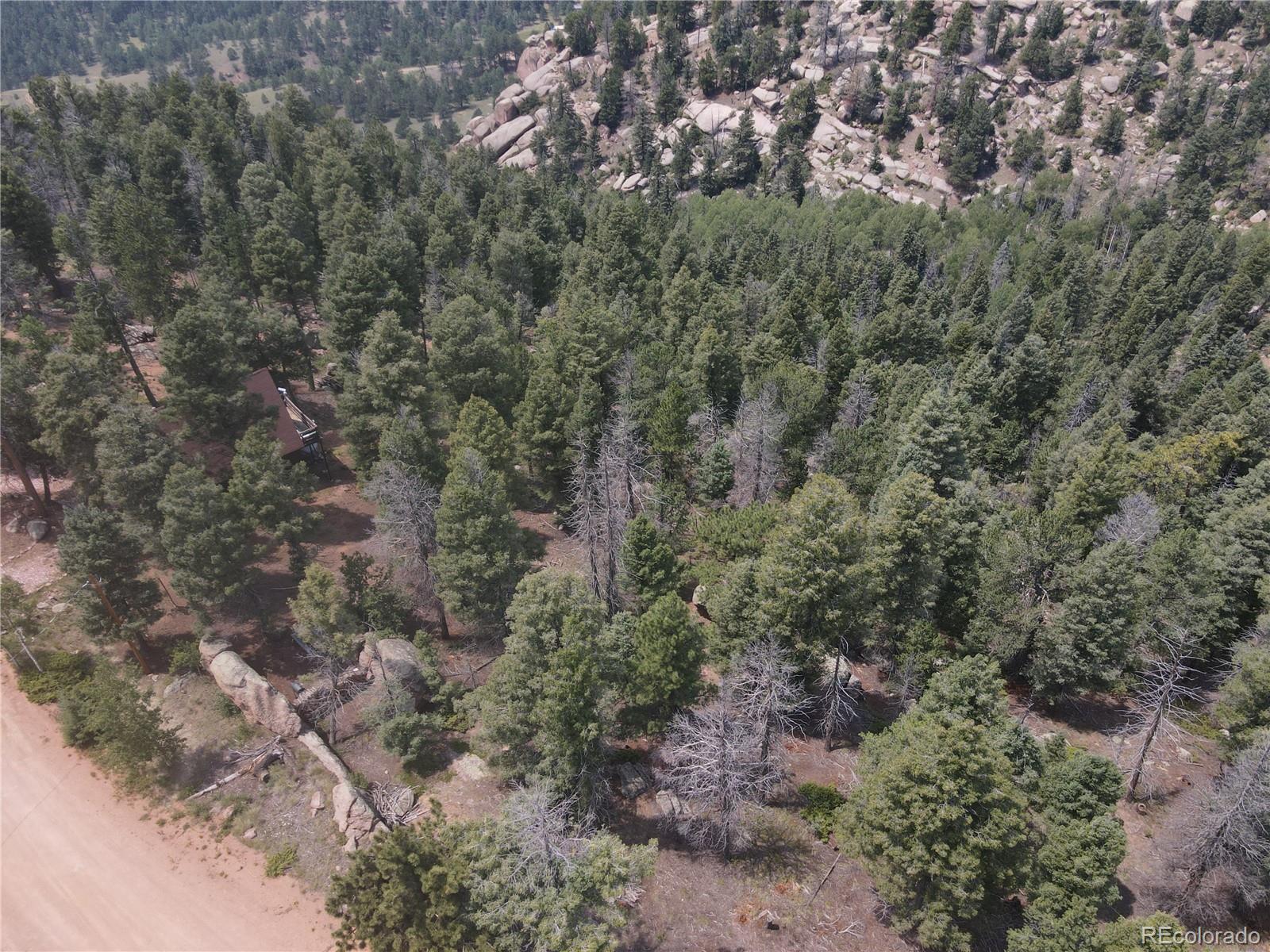 3546 North Mountain Estates Road Florissant, CO 80816 - Photo 13 of 17 a view of a forest with lots of trees