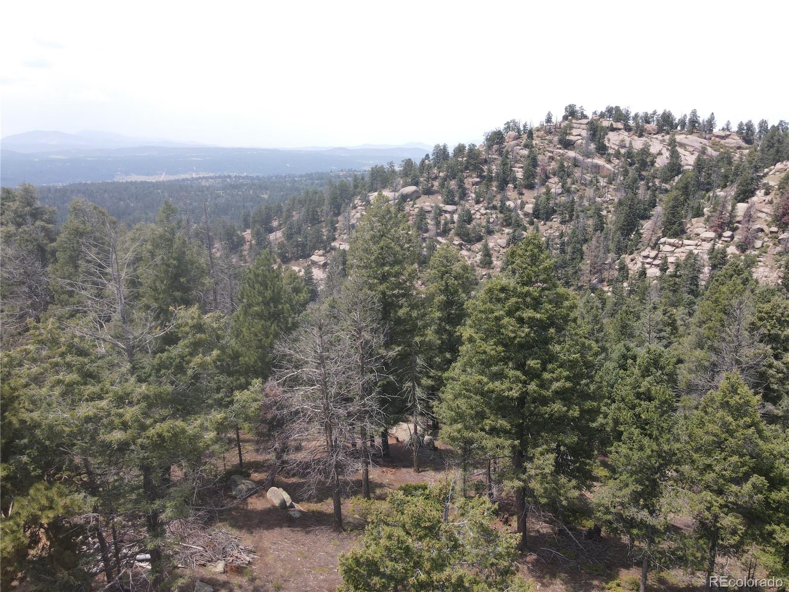 3546 North Mountain Estates Road Florissant, CO 80816 - Photo 17 of 17 a view of a city with lush green forest