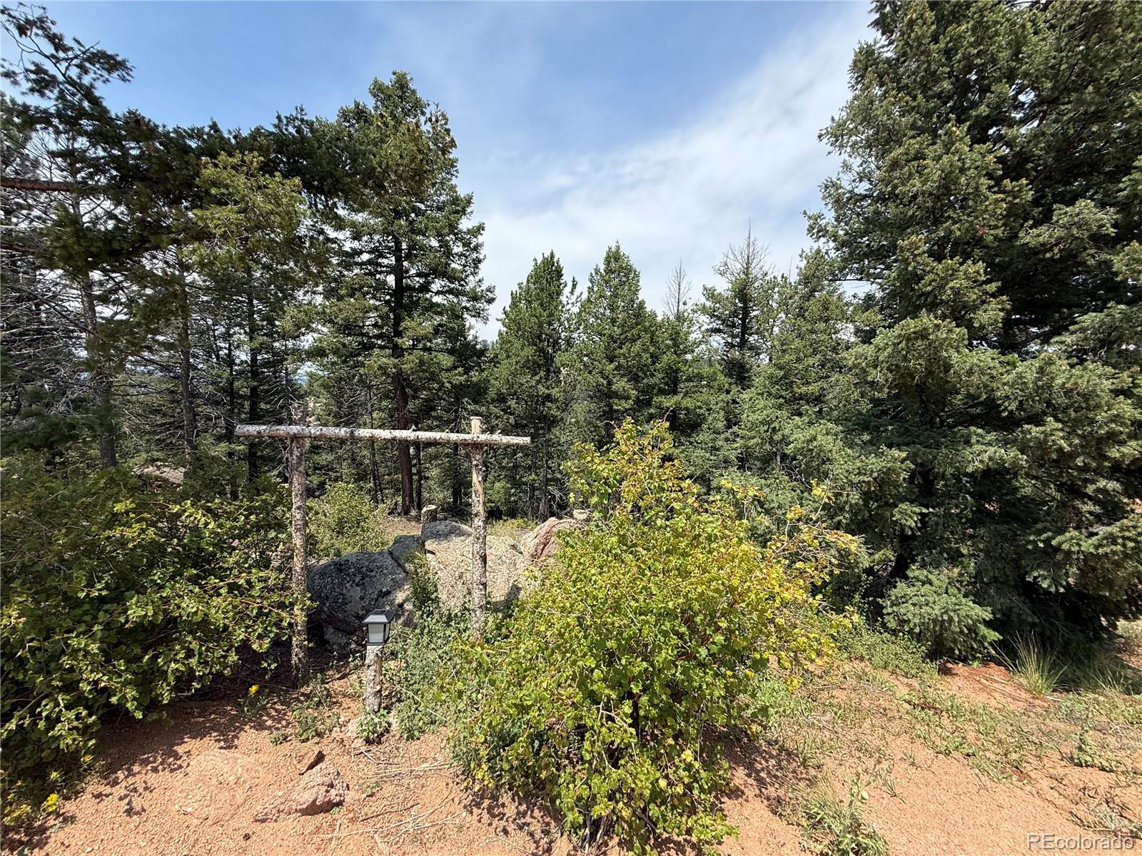 3546 North Mountain Estates Road Florissant, CO 80816 - Photo 3 of 17 a view of a garden