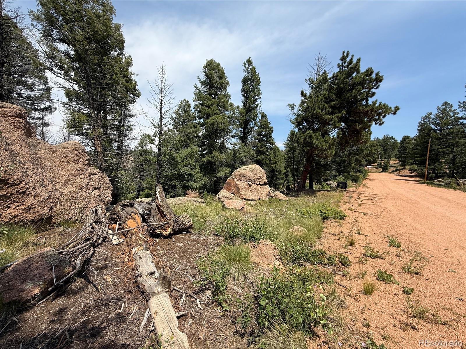 3546 North Mountain Estates Road Florissant, CO 80816 - Photo 6 of 17 a view of a yard with a tree