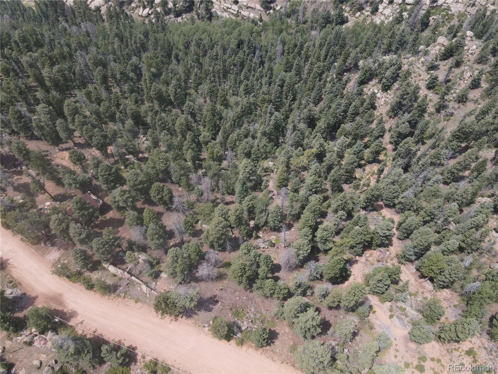 3546 North Mountain Estates Road Florissant, CO 80816 - Photo 7 of 17 a view of a forest with trees in the background