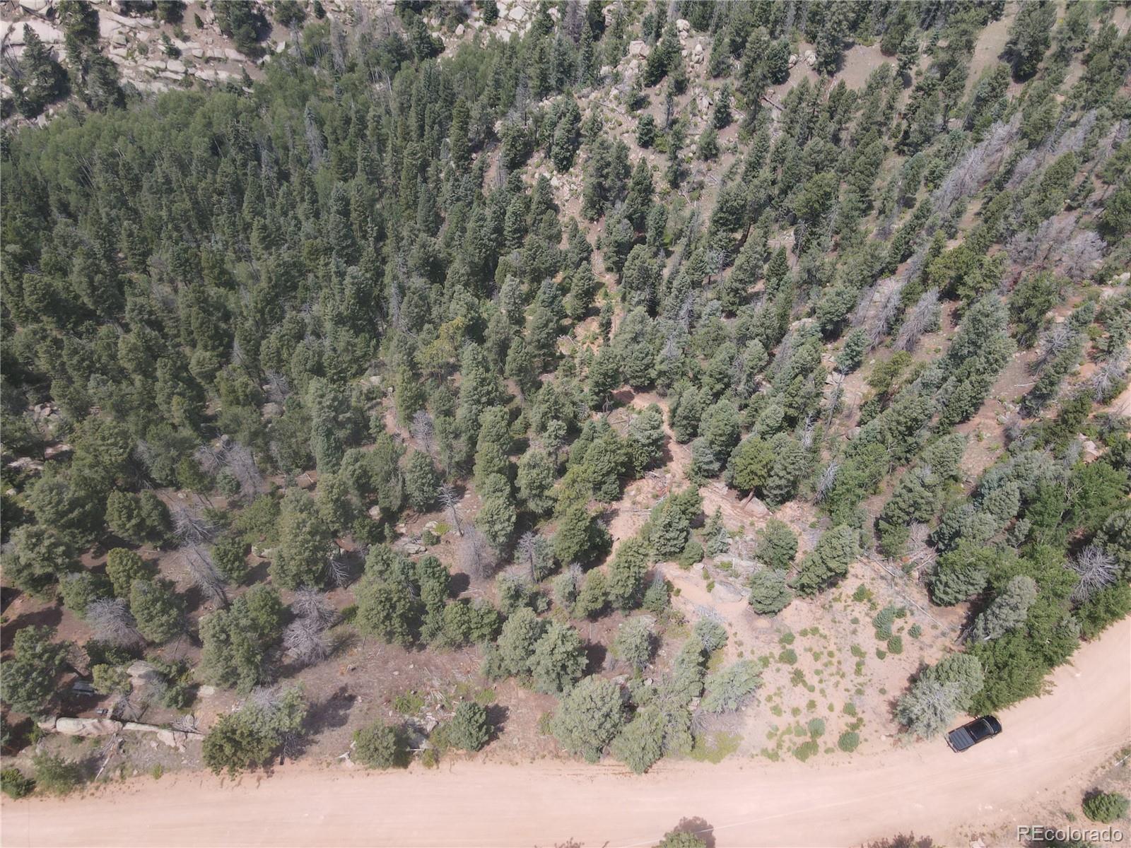 3546 North Mountain Estates Road Florissant, CO 80816 - Photo 8 of 17 a view of a forest with trees in the background