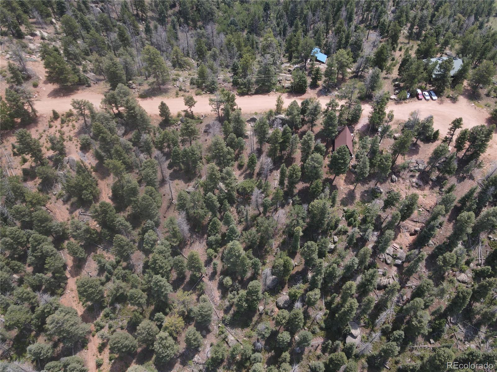 3546 North Mountain Estates Road Florissant, CO 80816 - Photo 9 of 17 a view of a forest with lots of trees