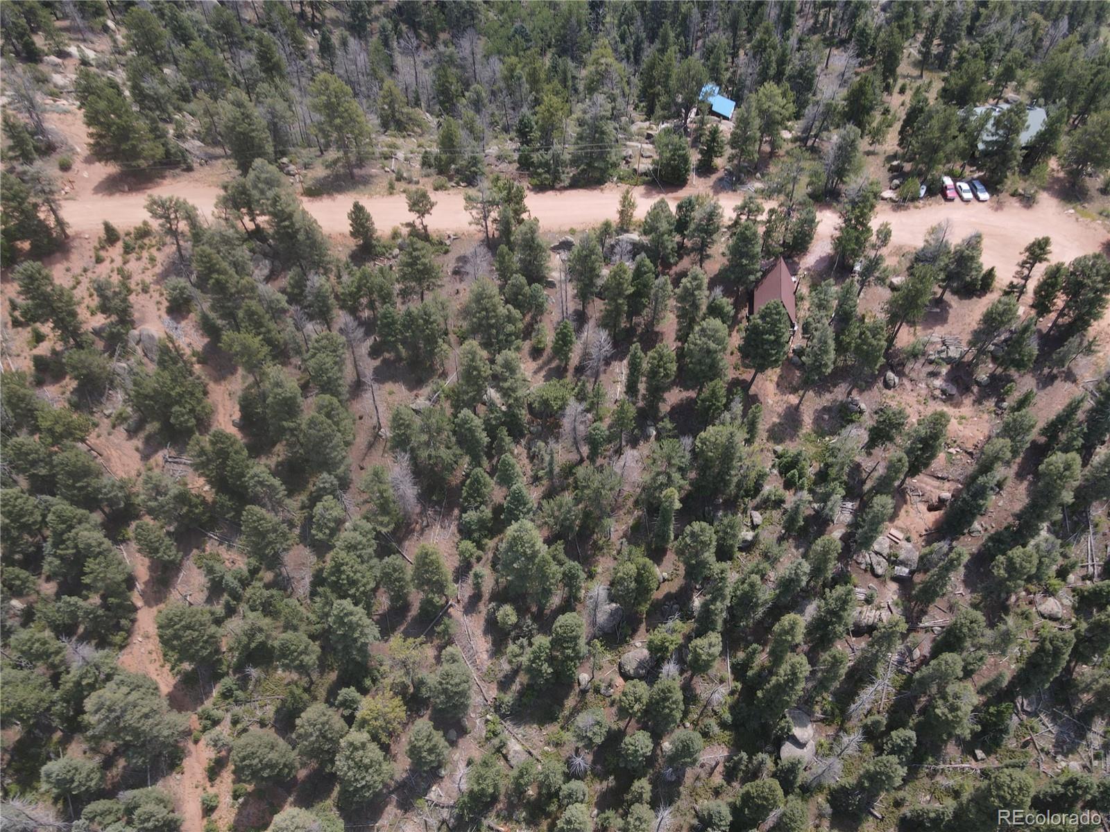 3546 North Mountain Estates Road Florissant, CO 80816 - Photo 10 of 17 a view of a tree