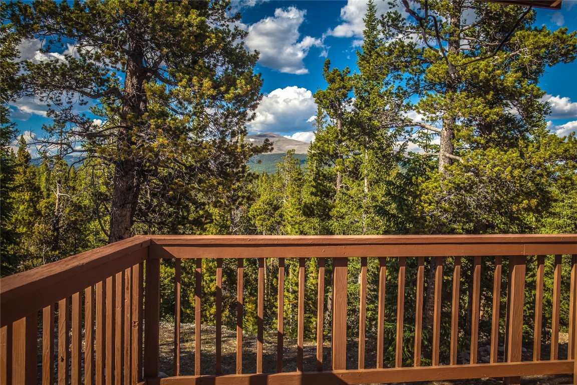 80 Royce Road Fairplay, CO 80440 - Photo 33 of 34 Gallery Image 33