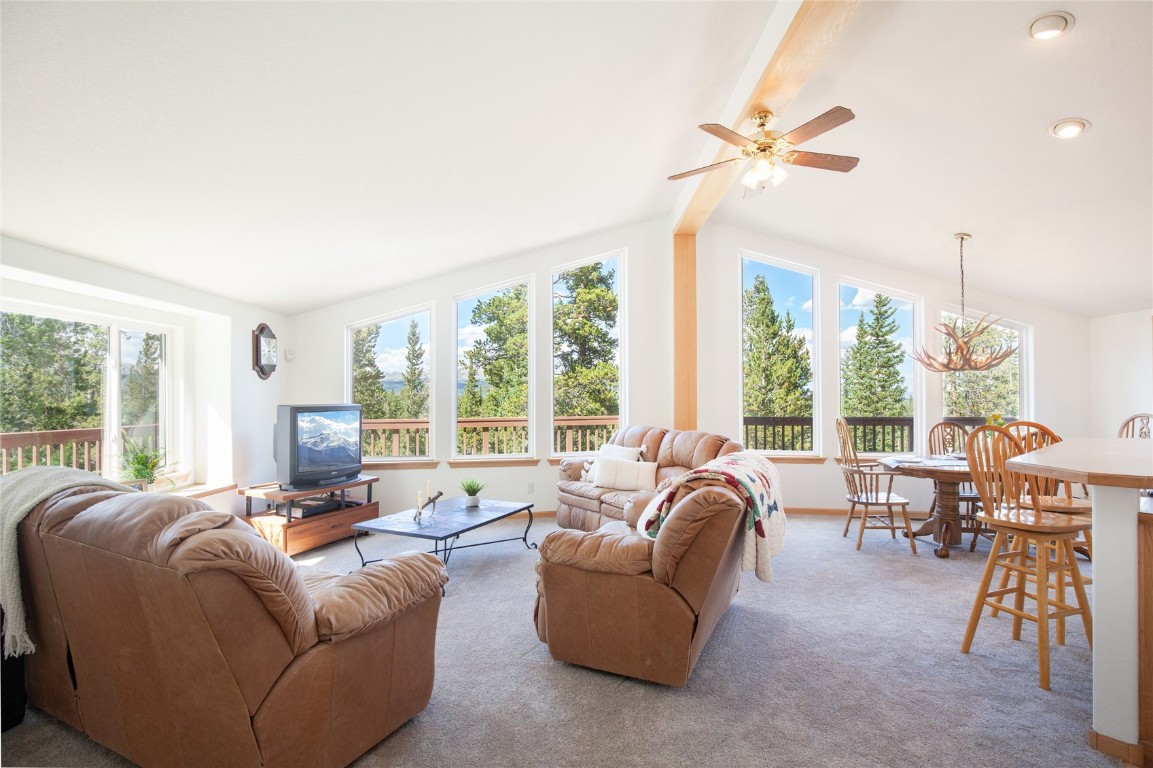 80 Royce Road Fairplay, CO 80440 - Photo 6 of 34 Gallery Image 6