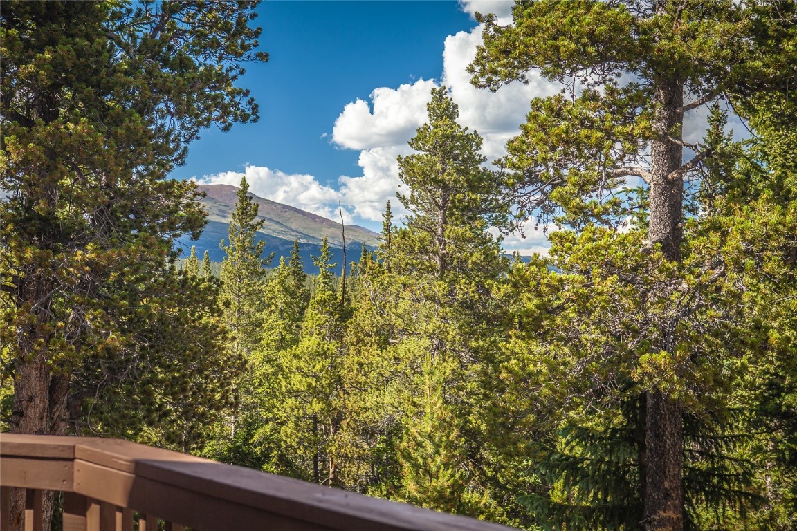 80 Royce Road Fairplay, CO 80440 - Photo 7 of 34 Gallery Image 7