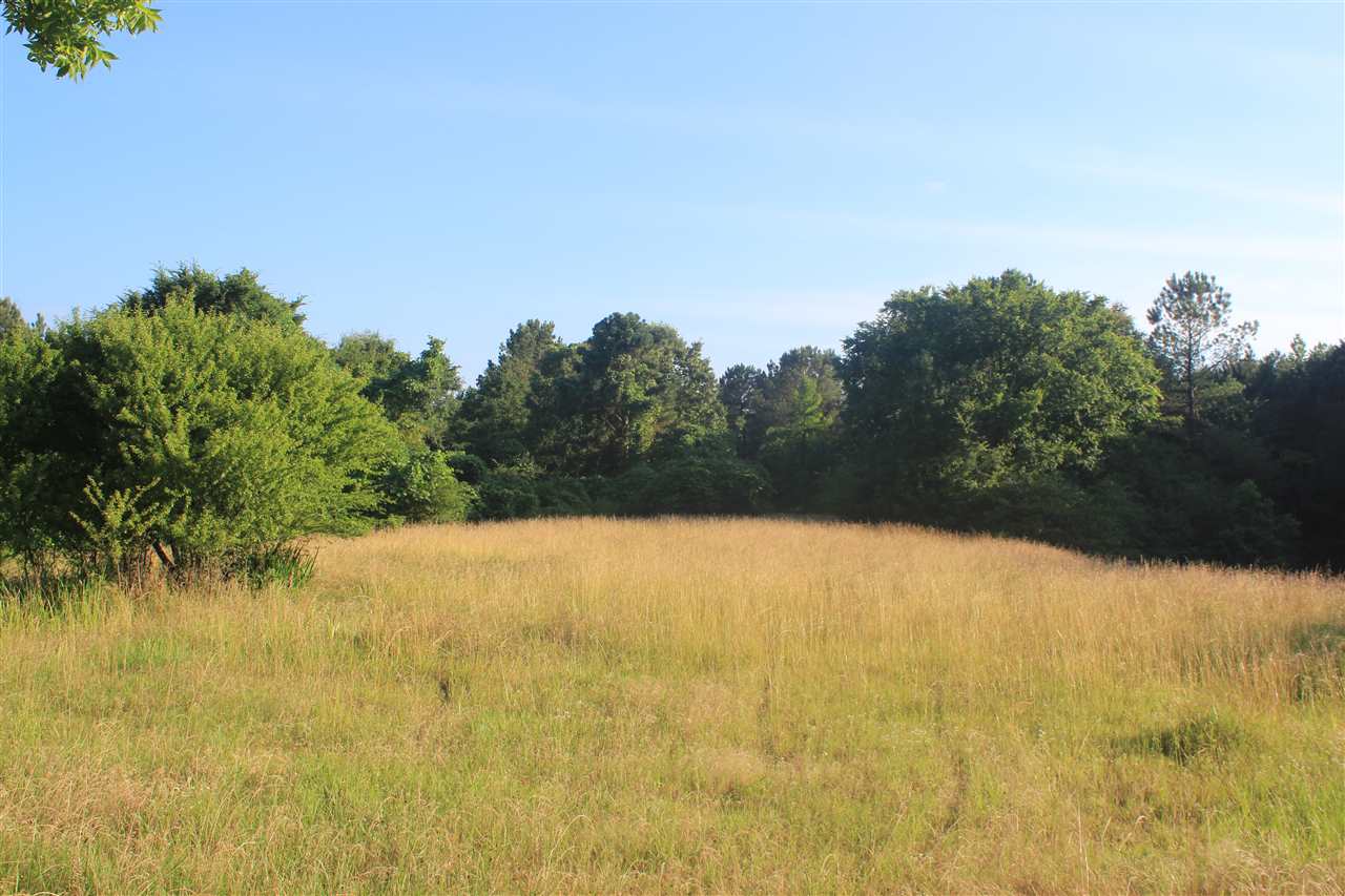 3400 Getwell Road Olive Branch, MS 38632 - Photo 1 of 25