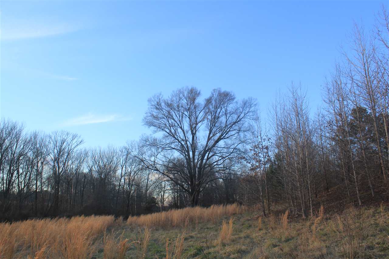 3400 Getwell Road Olive Branch, MS 38632 - Photo 16 of 25