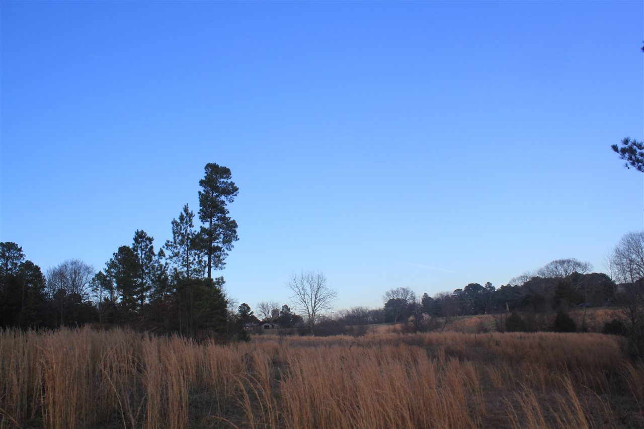 3400 Getwell Road Olive Branch, MS 38632 - Photo 22 of 25