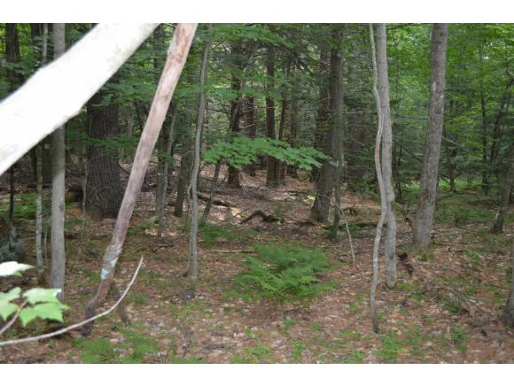 0 West Cove Road Brookfield, NH 03872 - Photo 3 of 3 Gallery Image 3