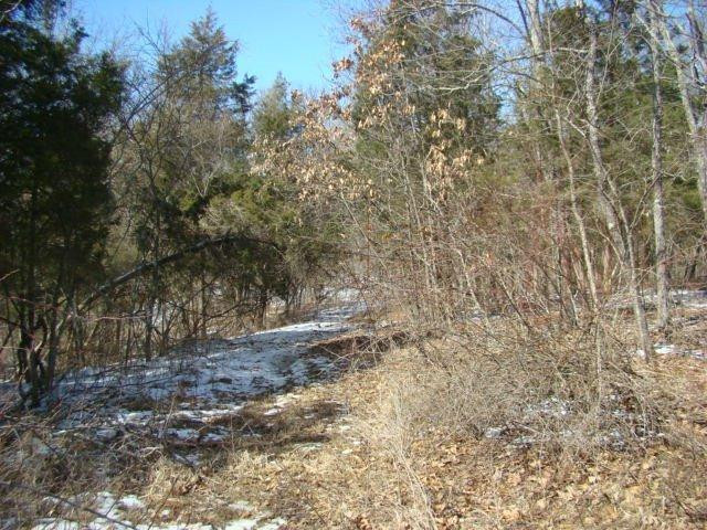 7330 Gratz Road Owenton, KY 40359 - Photo 11 of 22 Gallery Image 11