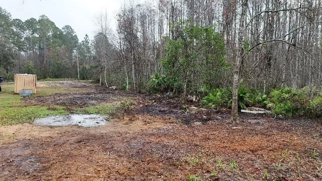 a view of a yard with trees