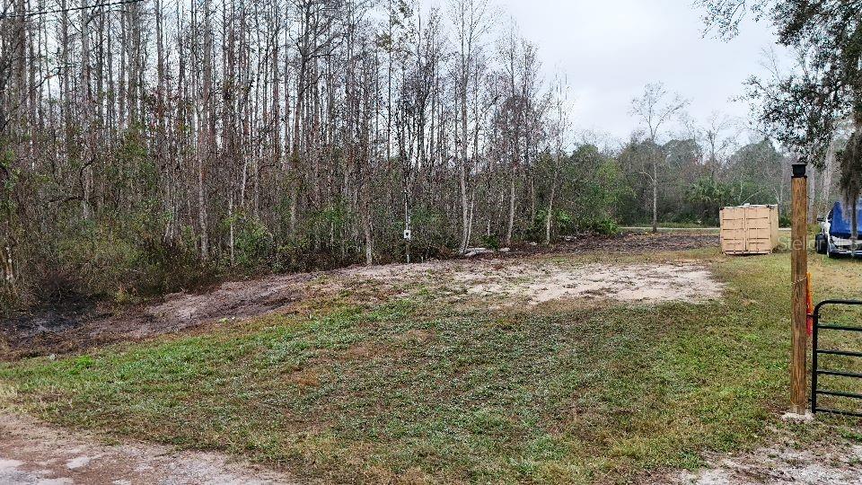 10733 Olsen Street New Port Richey, FL 34654 - Photo 4 of 4 a view of outdoor space with trees