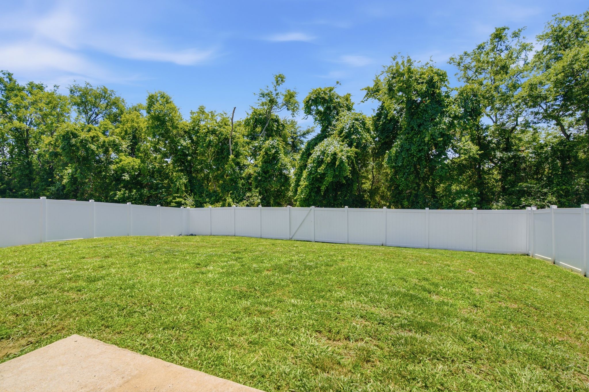 514 Ash Street Lebanon, TN 37087 - Photo 4 of 37 a view of a garden
