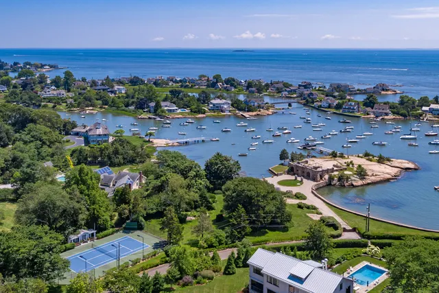 a view of a garden with a house in the background