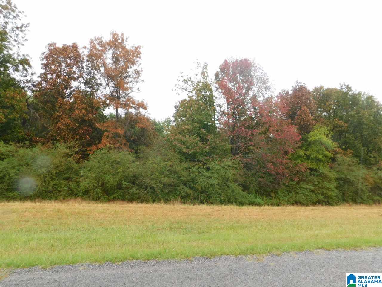 0 Jones Chapel Loop, Unit 2 Springville, AL 35146 - Photo 1 of 1