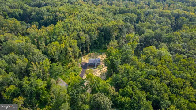 a view of a house with a tree
