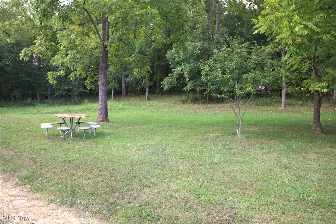 22760 Roy Croy Road Senecaville, OH 43780 - Photo 42 of 46 View of grassy yard with picnic table
