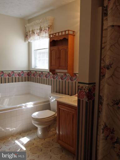 858 Berrys Ferry Road White Post, VA 22663 - Photo 14 of 30 Bath (Master)