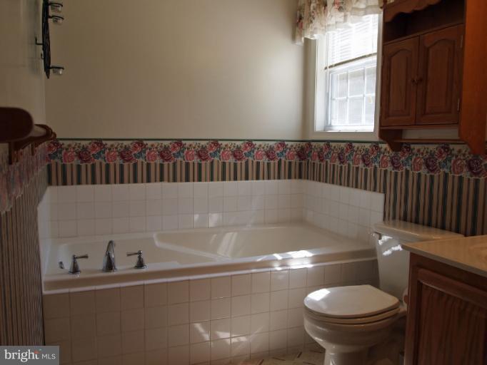 858 Berrys Ferry Road White Post, VA 22663 - Photo 23 of 30 Bath (Master)