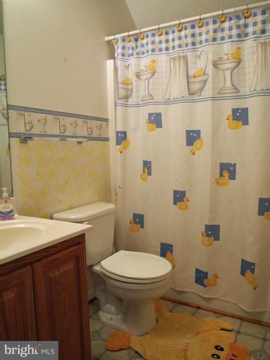 858 Berrys Ferry Road White Post, VA 22663 - Photo 24 of 30 Bath