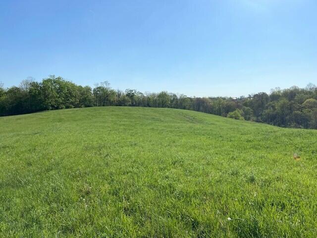 2451 Sardis Road Mount Olivet, KY 41064 - Photo 24 of 42