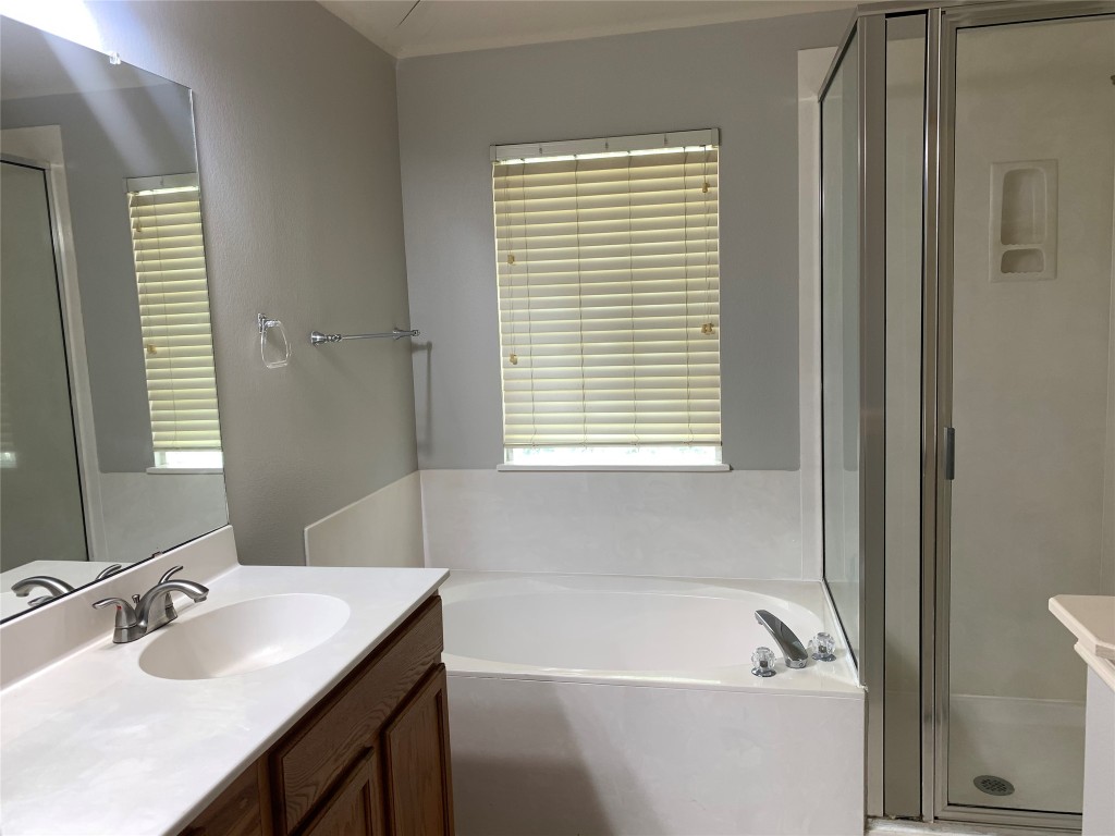 3667 Spring Canyon Trail Round Rock, TX 78681 - Photo 13 of 24 a bathroom with a tub sink and mirror