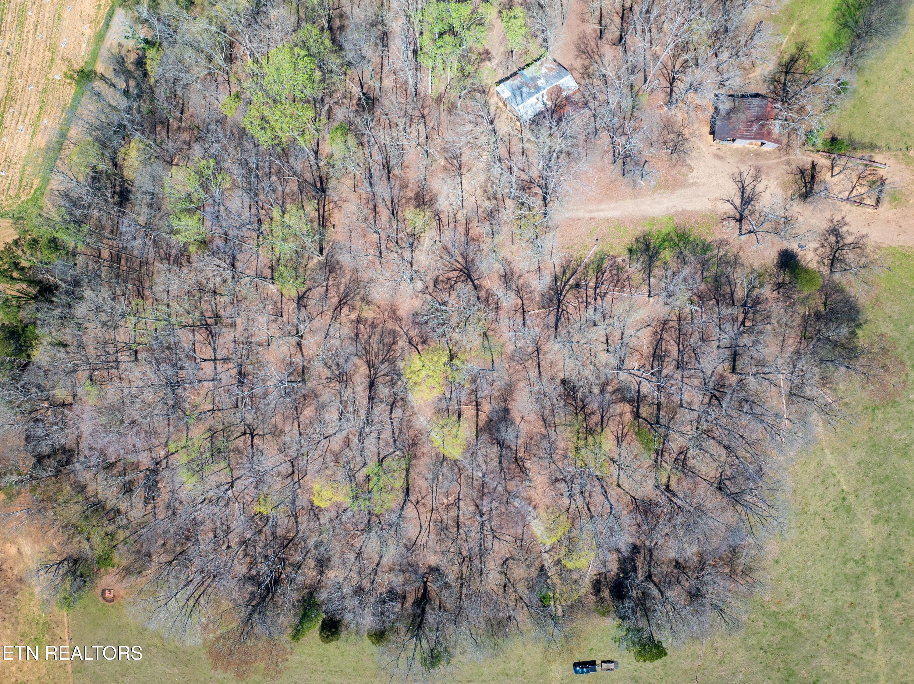 1404 Trigonia Road Maryville, TN 37801 - Photo 2 of 3 tempImageNbe11M