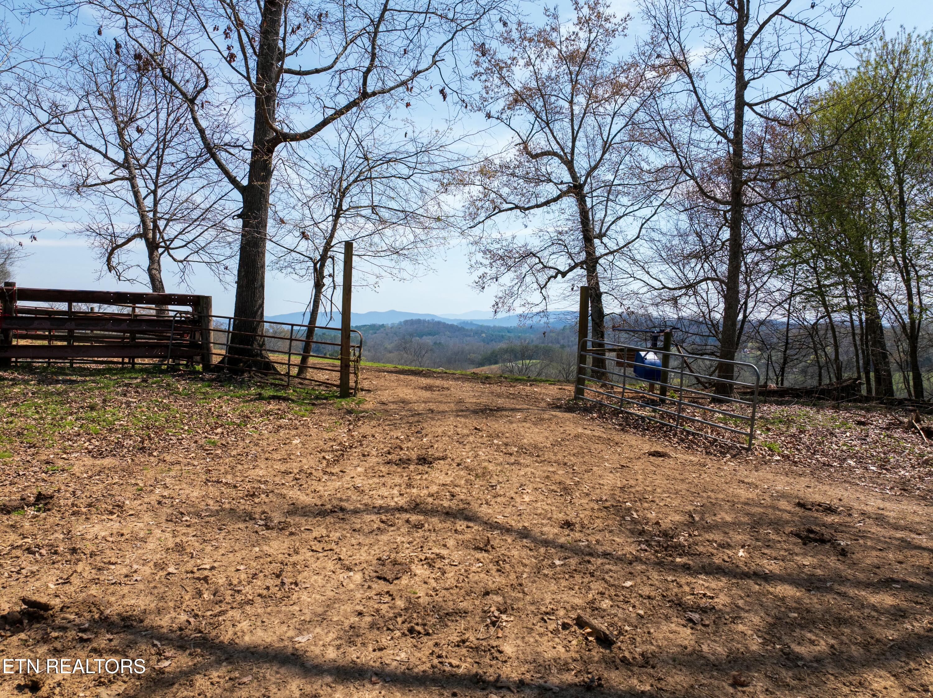 1404 Trigonia Road Maryville, TN 37801 - Photo 3 of 3 tempImageq0VdWQ