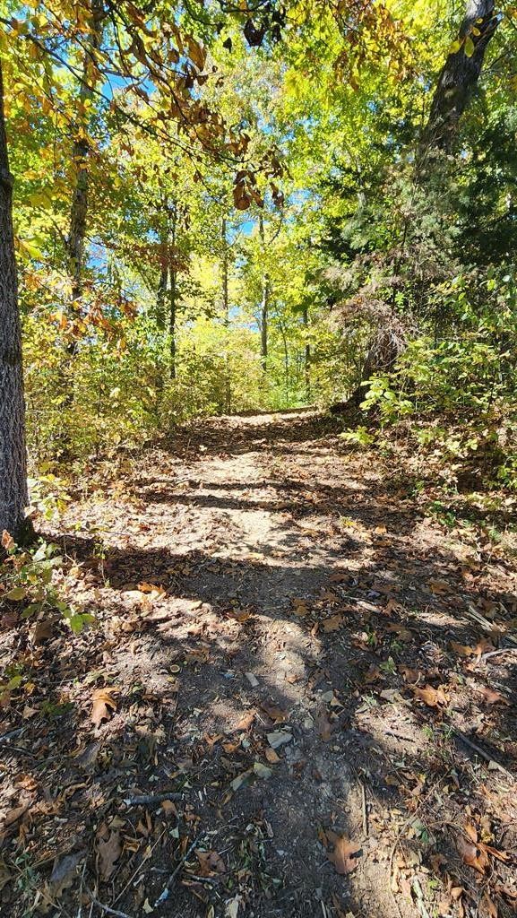 0 Reagan Branch Road Seymour, TN 37865 - Photo 25 of 31