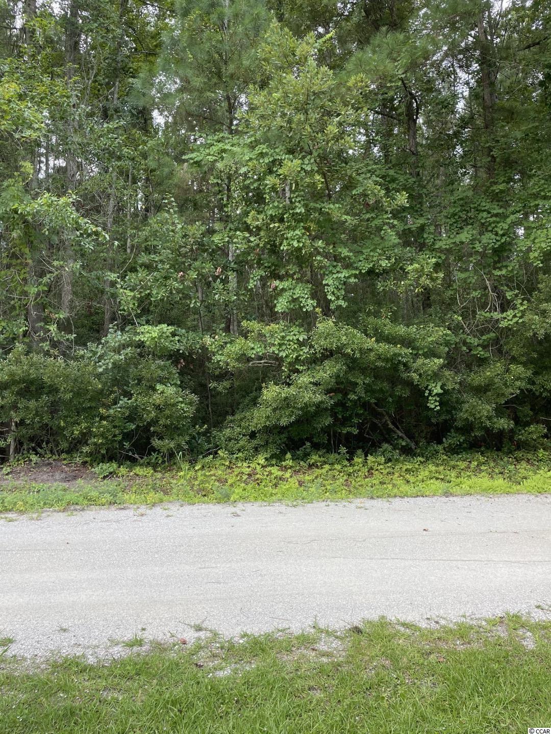 Tbd Piney Grove Road Loris, SC 29569 - Photo 1 of 8 Gallery Image 1