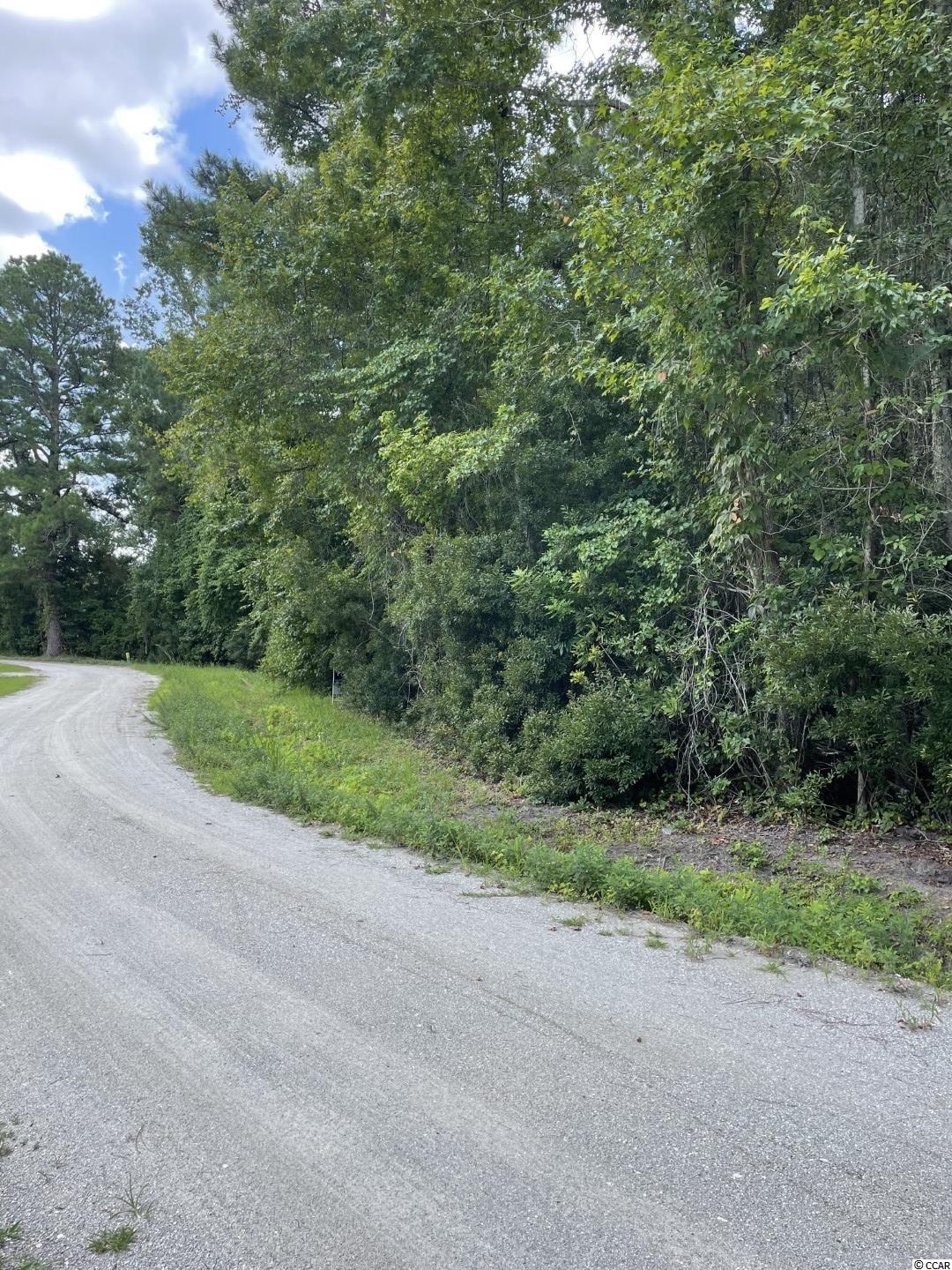 Tbd Piney Grove Road Loris, SC 29569 - Photo 3 of 8 Gallery Image 3