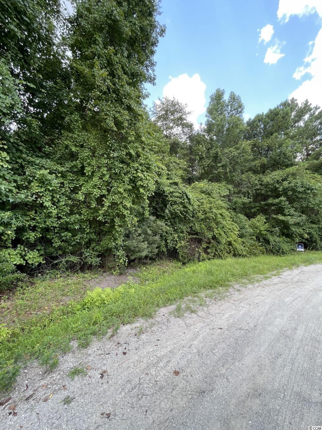 Tbd Piney Grove Road Loris, SC 29569 - Photo 4 of 8 Gallery Image 4