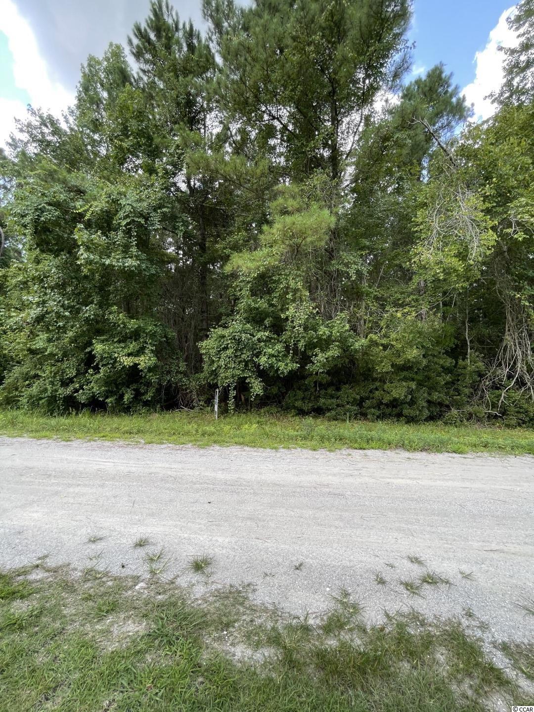 Tbd Piney Grove Road Loris, SC 29569 - Photo 6 of 8 Gallery Image 6